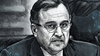 السفير نبيل فهمي