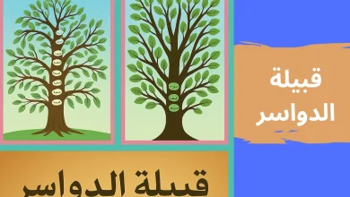 شجرة قبيلة الدواسر | تفاصيل الأصول والفروع الموروثة