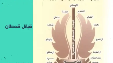 قبيلة قحطان وفخوذها | دليل الأنساب والفروع الكاملة