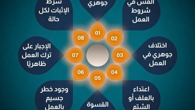 المادة 81 من نظام العمل pdf