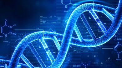 سعر تحليل DNA لإثبات النسب في جميع معامل السعودية 2026