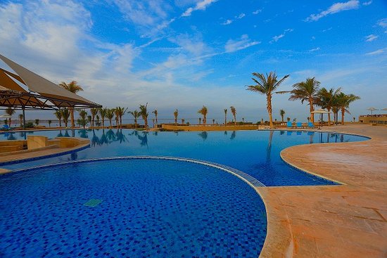 أجمل فنادق تبوك 2026 | ما هو أفضل موقع لحجز الفنادق في السعودية؟